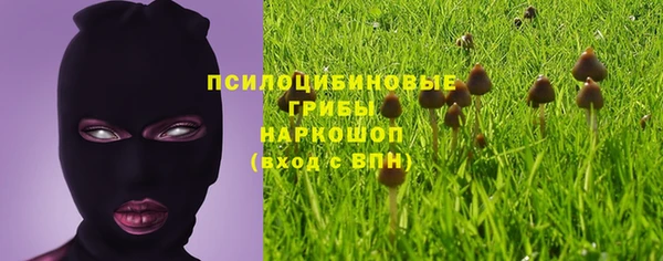 твердый Михайловка